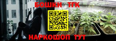 спиды Камышлов