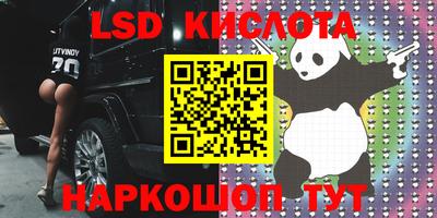 спиды Камышлов