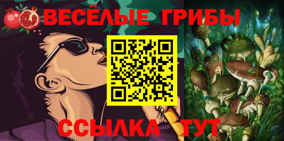 Галлюциногенные грибы Magic Shrooms Краснознаменск