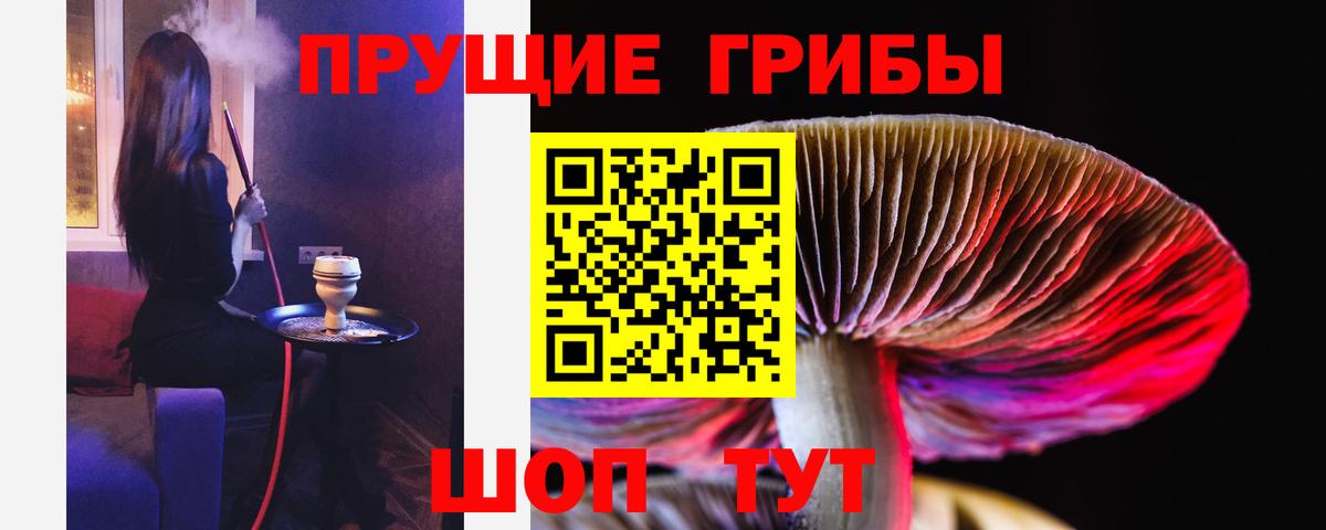 Галлюциногенные грибы Psilocybe  Вход с VPN  Краснознаменск 